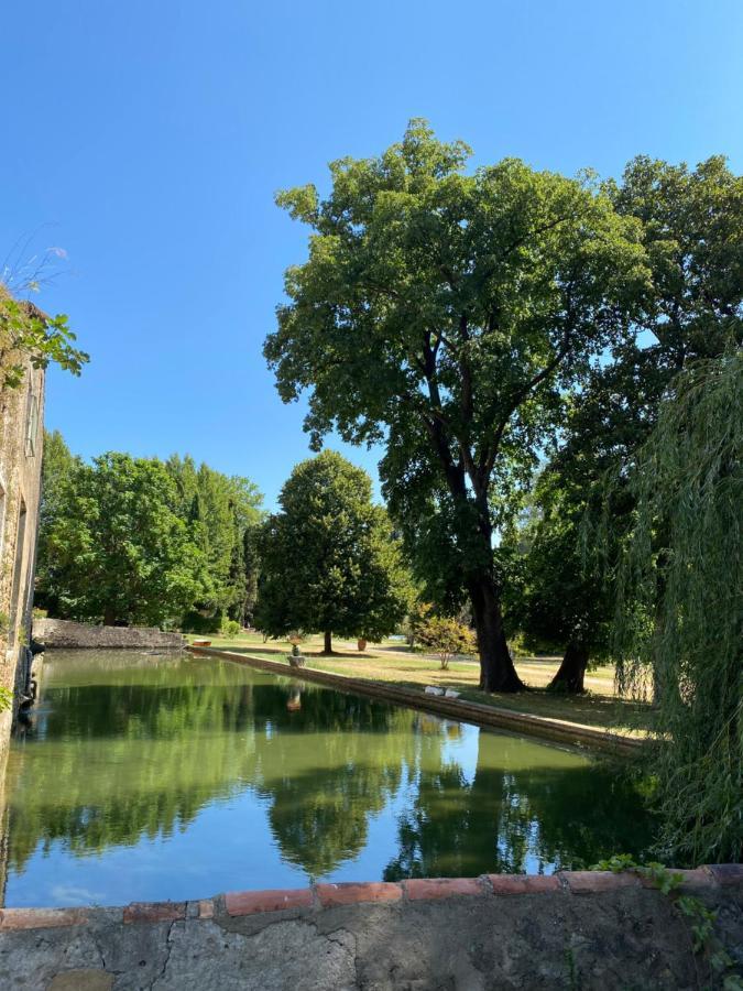 Terrasse Avec Vue Domaine Viticole Leilighet Sallèles-dʼAude Eksteriør bilde