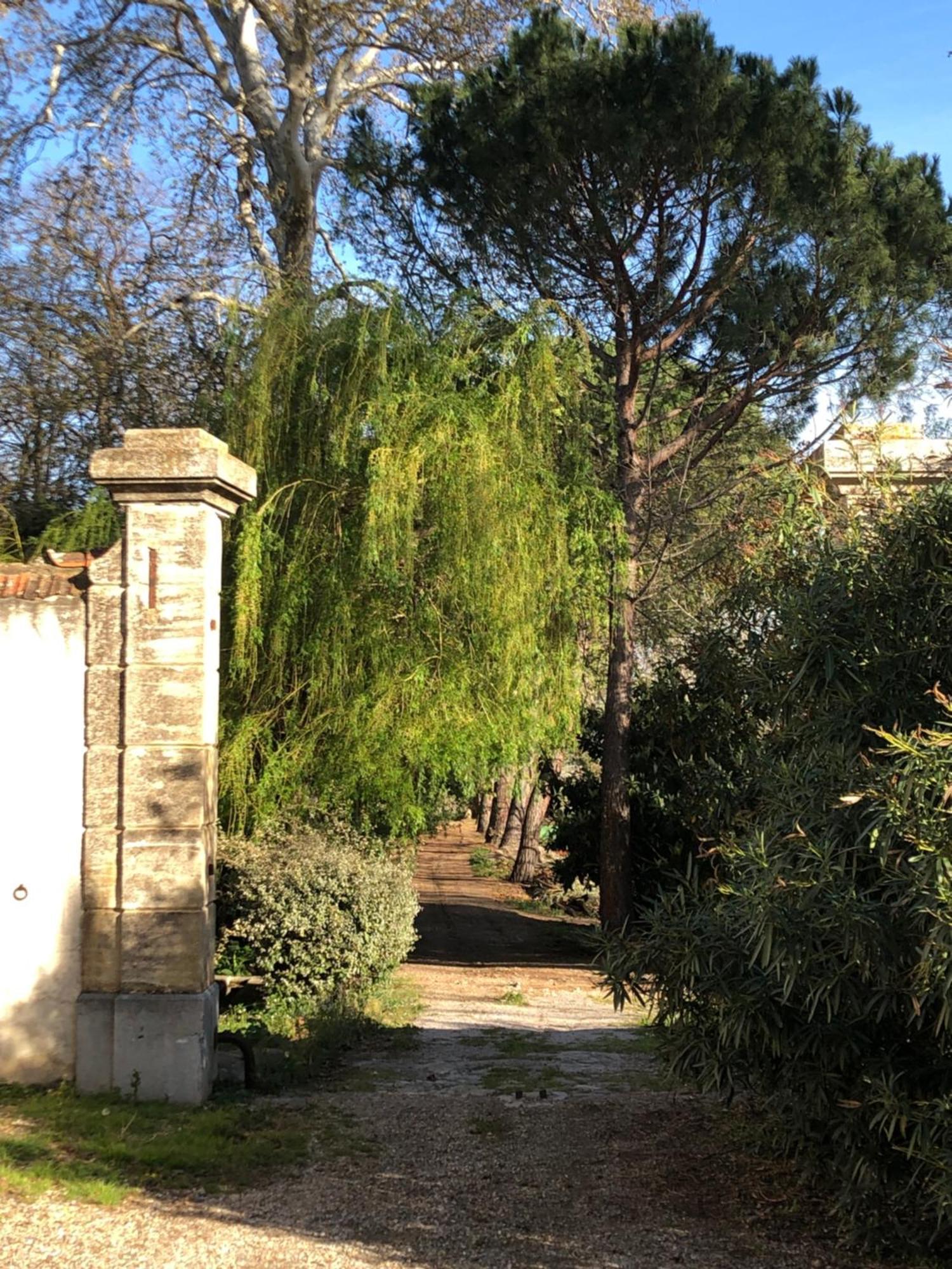 Terrasse Avec Vue Domaine Viticole Leilighet Sallèles-dʼAude Eksteriør bilde