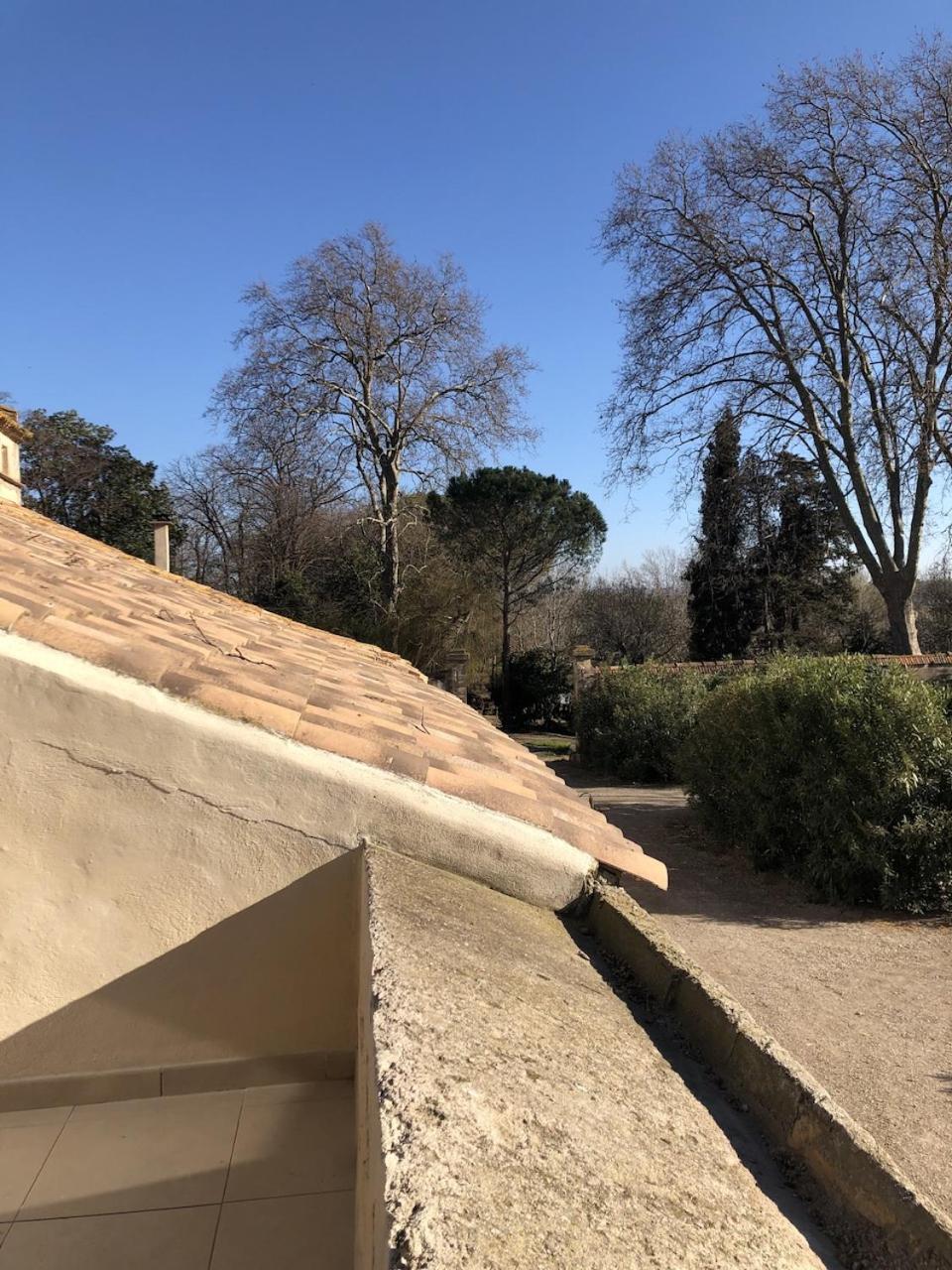 Terrasse Avec Vue Domaine Viticole Leilighet Sallèles-dʼAude Eksteriør bilde